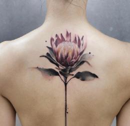 花朵<span style='color:red;'>花卉纹身</span>， 女性背部炫彩浪漫的花卉系列纹身图案图片