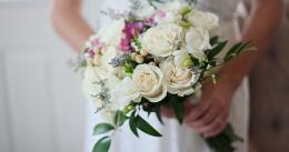 新娘，情人眼中的白色玫瑰花桌面壁纸