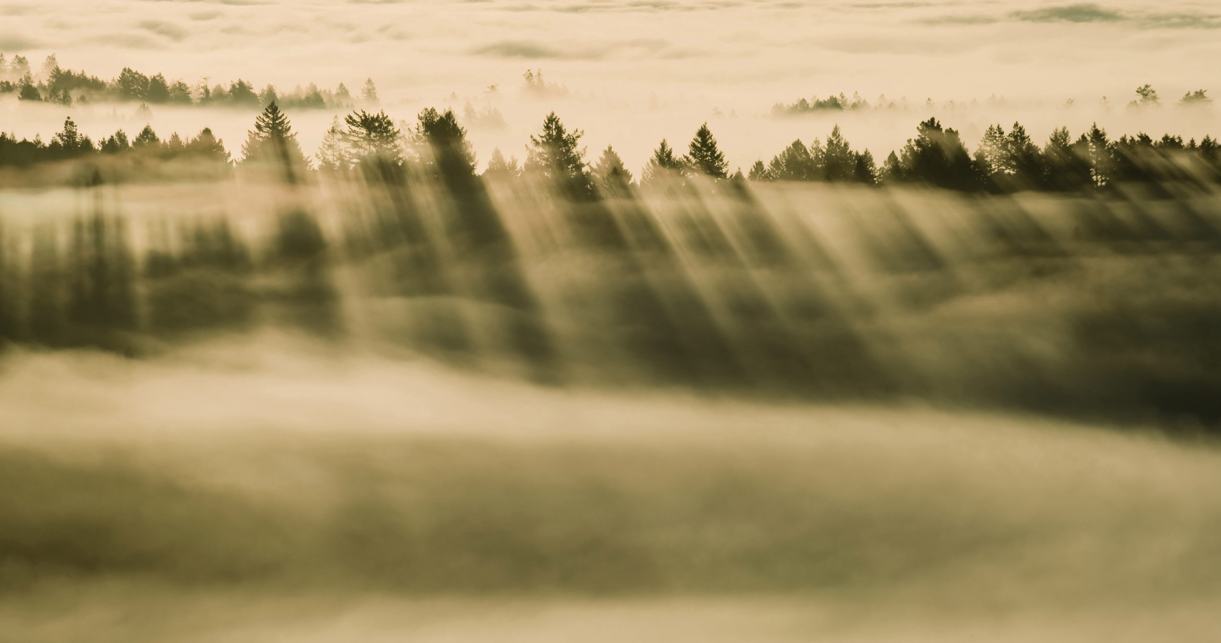 大雾自然天气的唯美风景壁纸，雾色的森林，山脉，道路壁纸图片