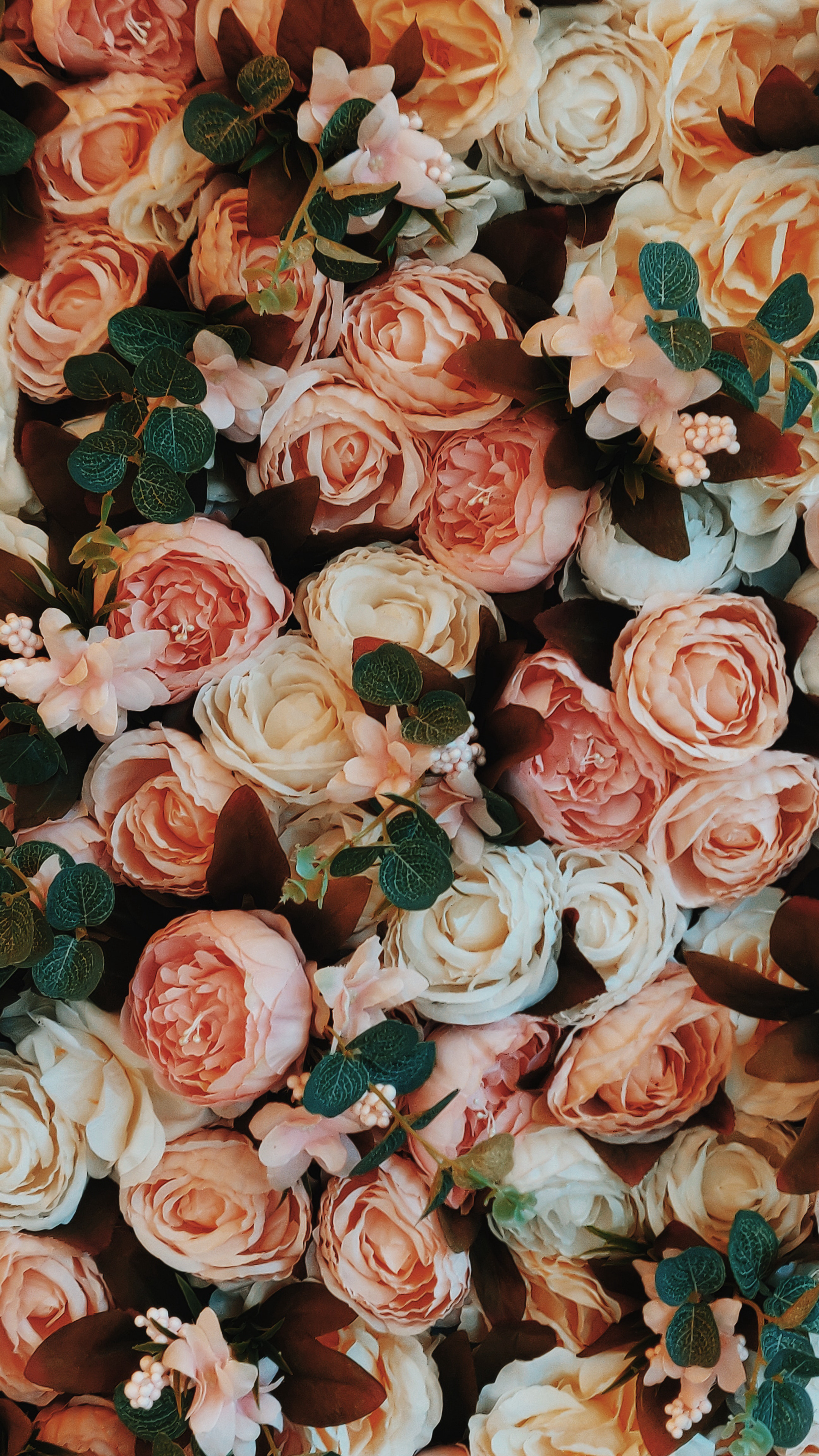 满屏的橙白色玫瑰浪漫的手机壁纸