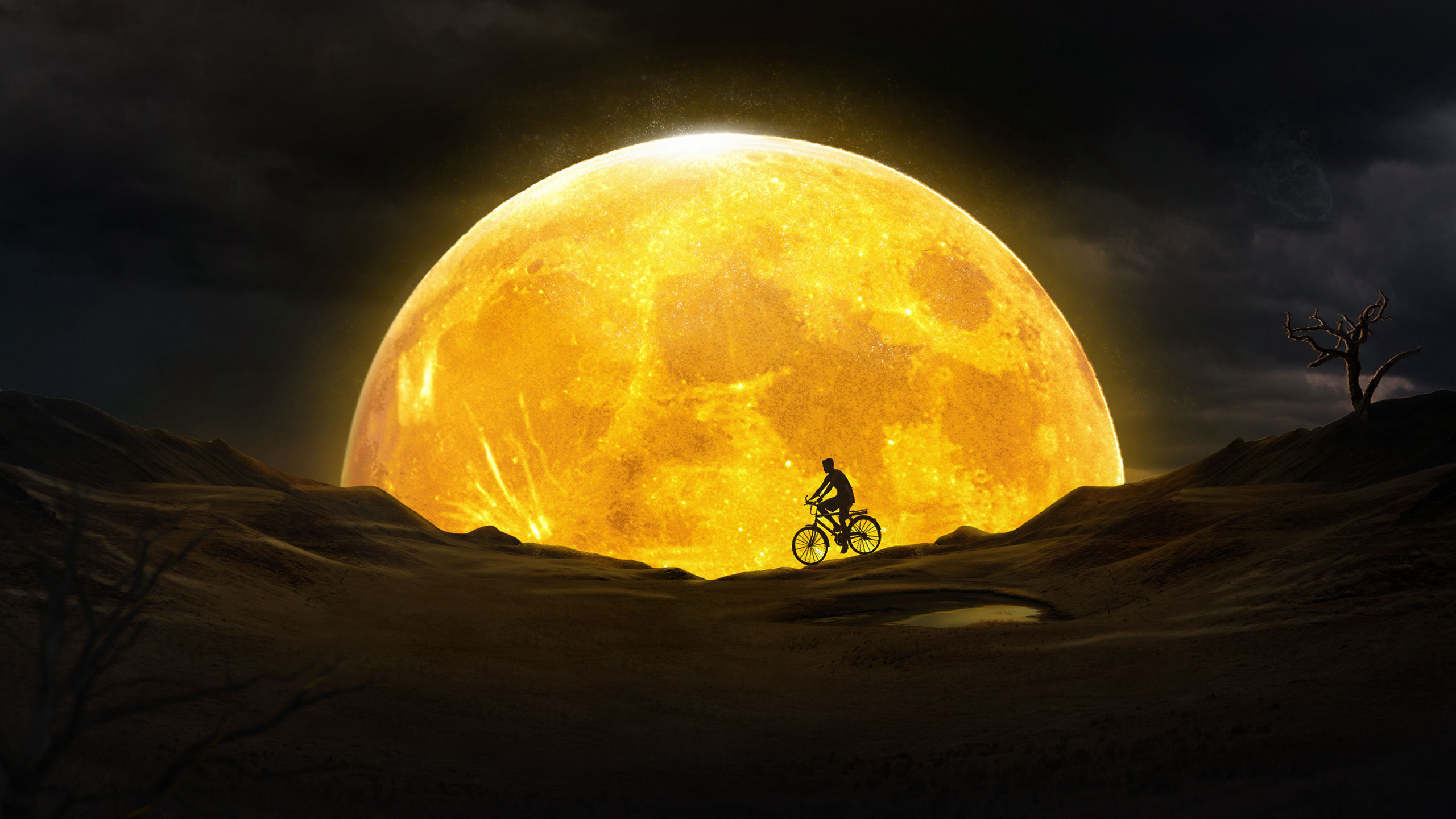 唯美月空满天孔明灯下的女孩，一轮圆月下的骑车的少女等梦境唯美图片