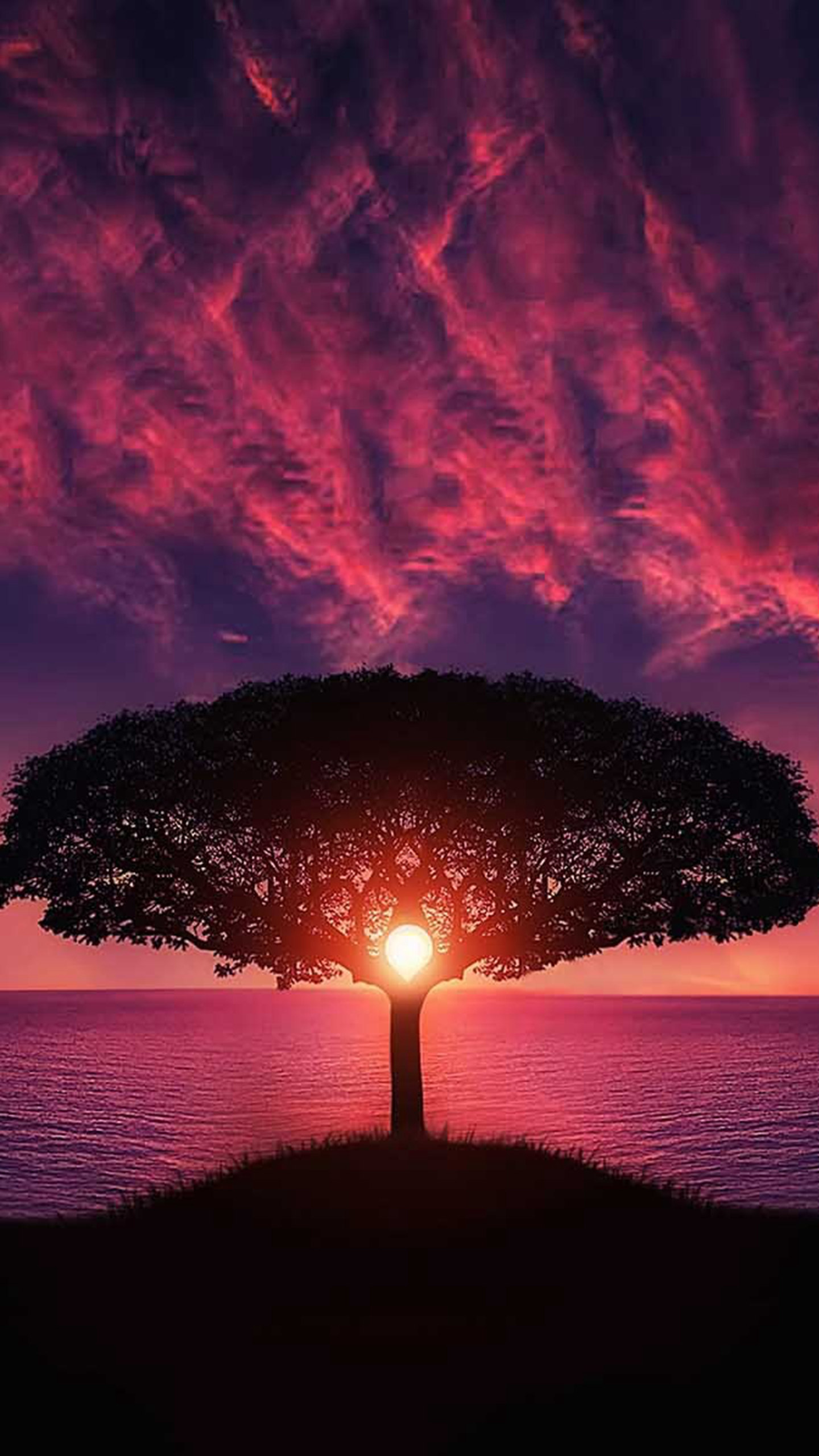 火红的夕阳下，湖边的一颗伞型大树唯美手机壁纸免费下载