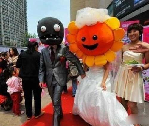 植物僵尸恋爱结婚了