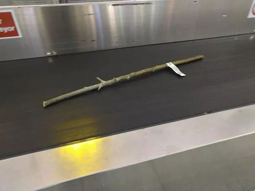在机场拍到有人托运了一根棍子