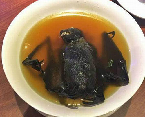 听说这是大补的汤，煮蝙蝠
