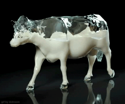 奶牛，浑身都是奶，哈哈，好解渴