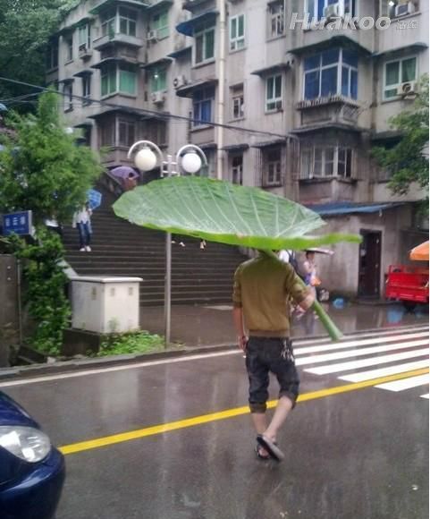 好大的雨伞