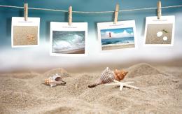 沙滩贝壳海螺精美风景壁纸图片