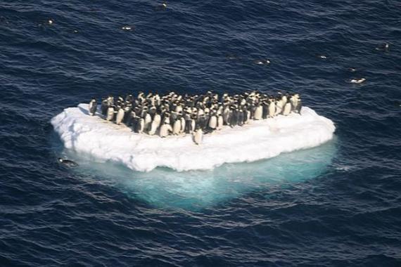 企鹅轮渡大西洋