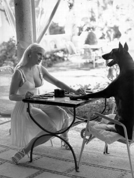 方桌对话：男人和狗狗，你选择嫁那个