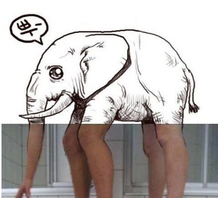 被恶搞的大象