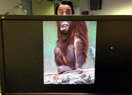 哇，表情完美结合，男人人真的是猴子进化来的？