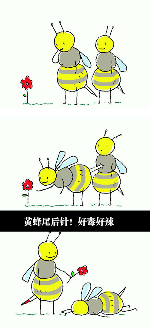 蜜蜂有刺啊。。。刺里有毒啊