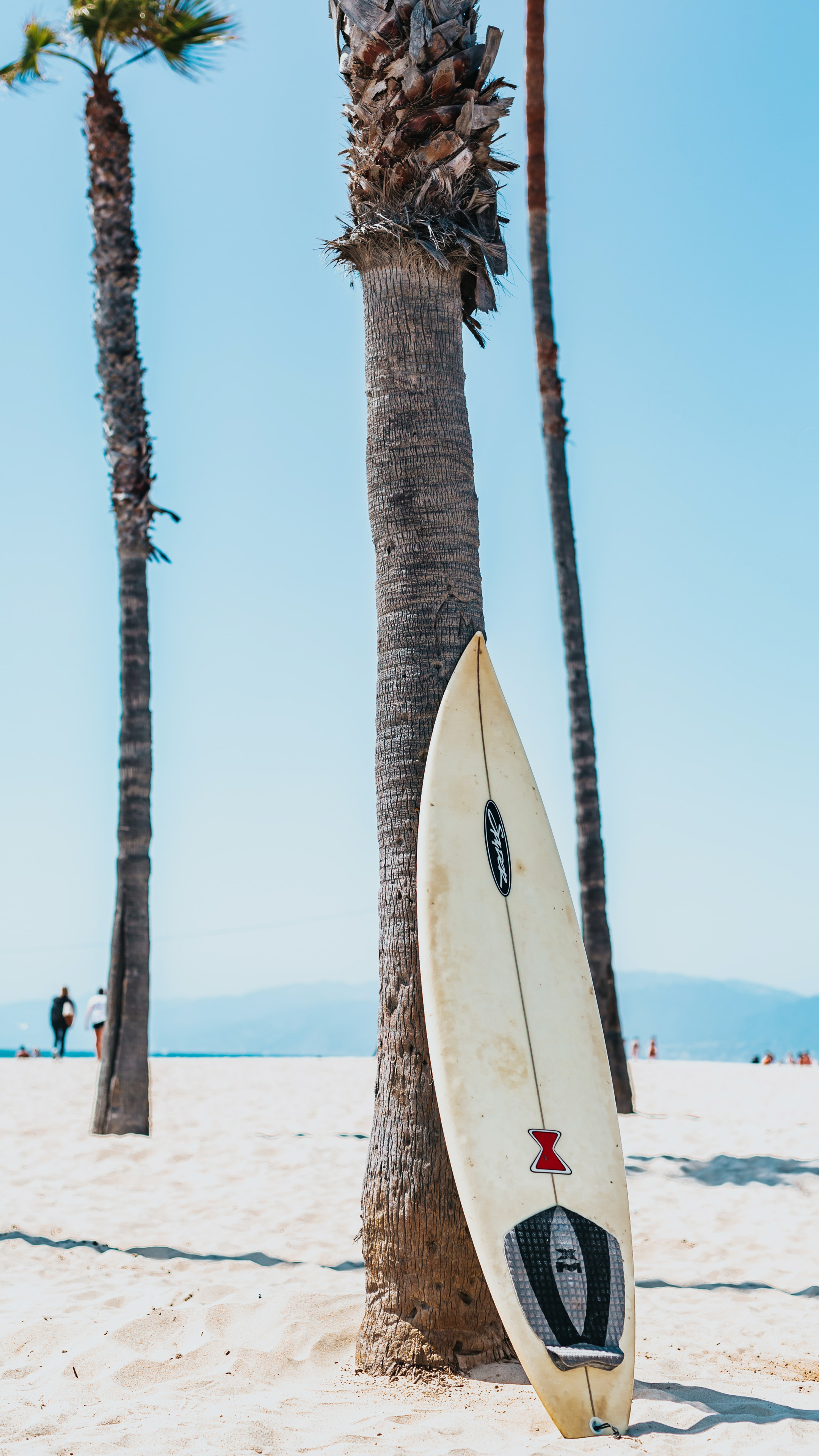 椰树<span style='color:red;'>沙滩</span>，靠着椰树上的冲浪板高清手机壁纸