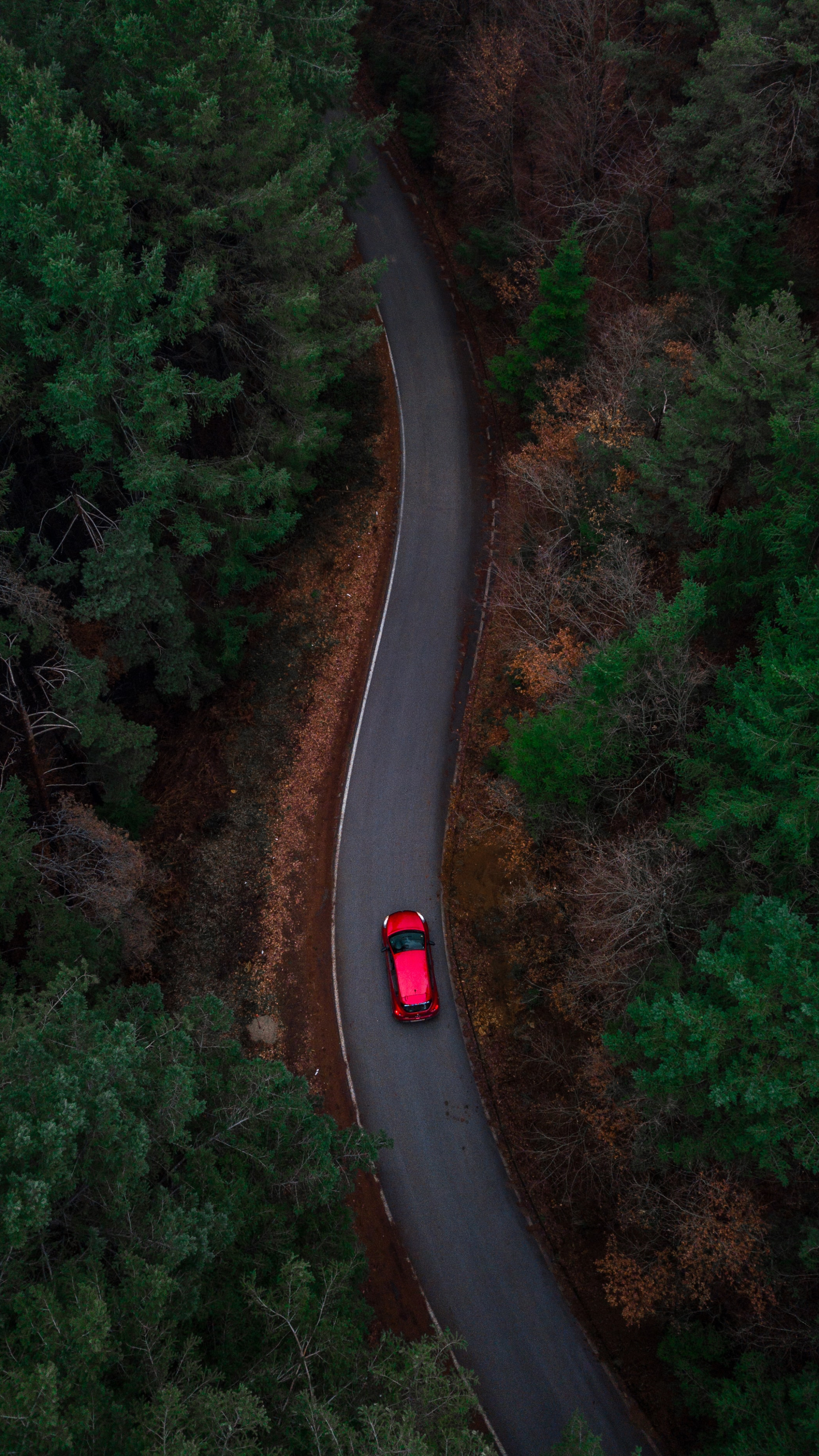 行驶于<span style='color:red;'>树林</span>弯曲公路上的红色轿车高清航拍手机壁纸