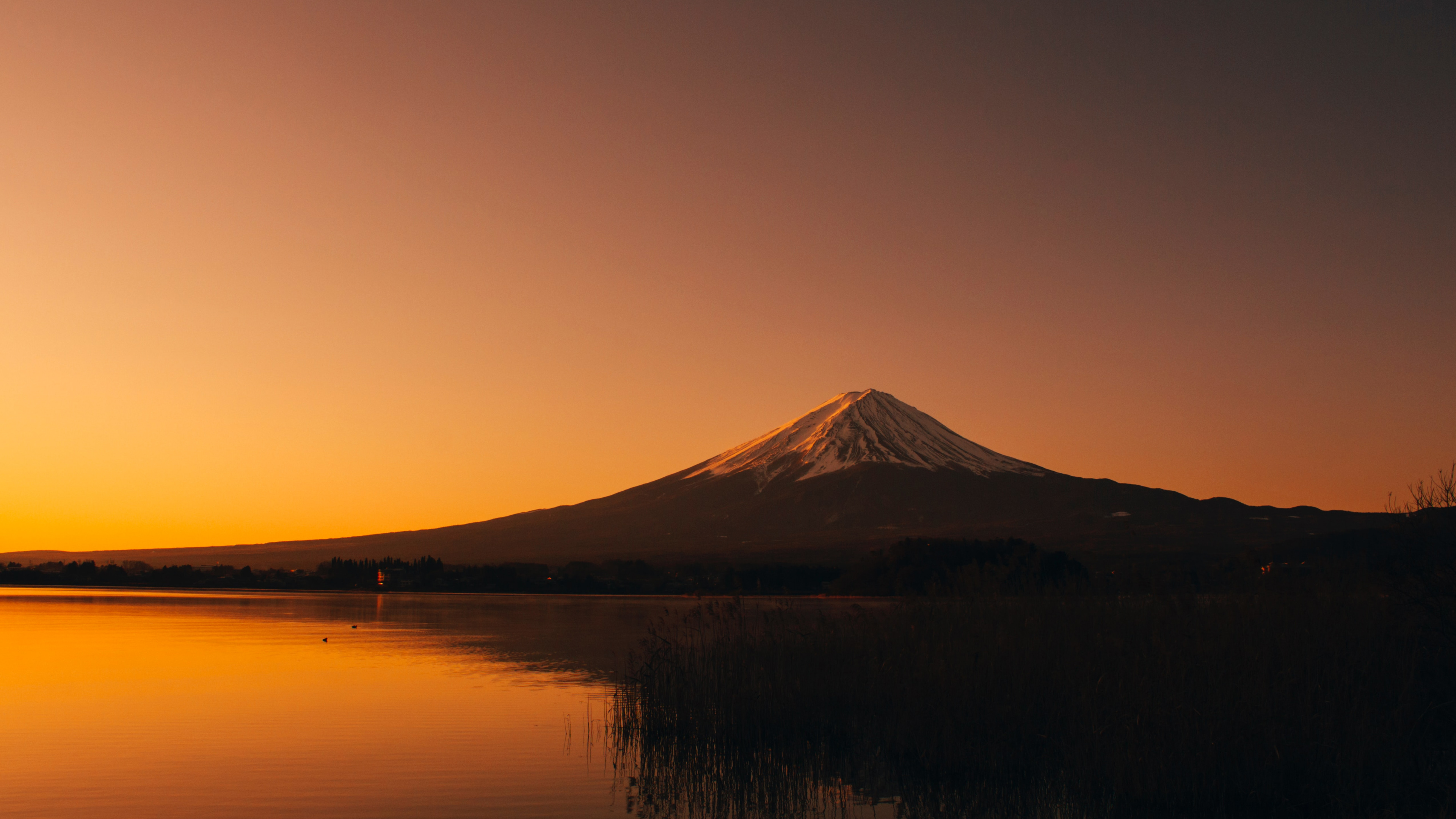黄黄的画面下的富士山一样美