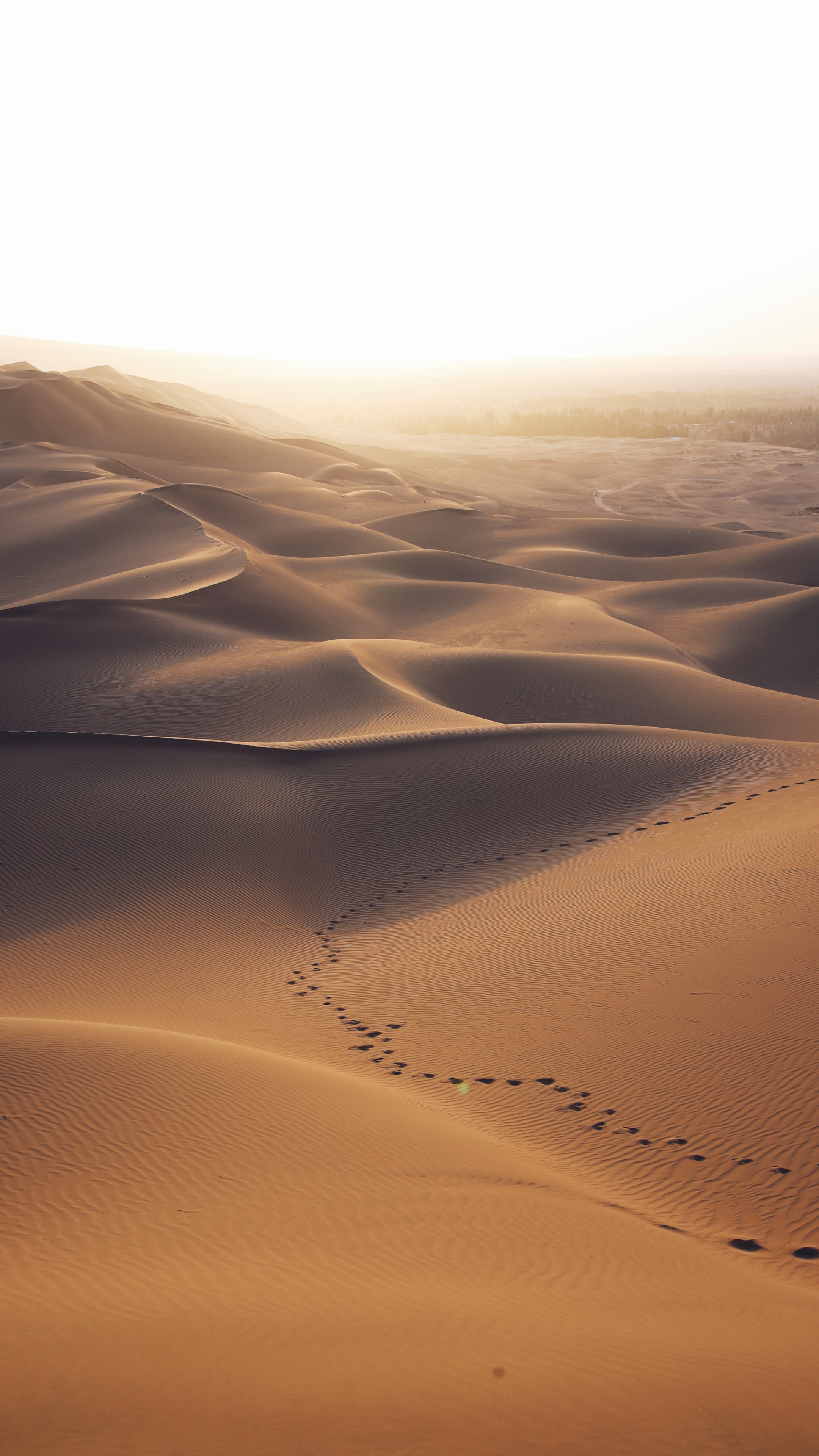 一望无际的沙漠上依稀的一排脚印手机壁纸下载