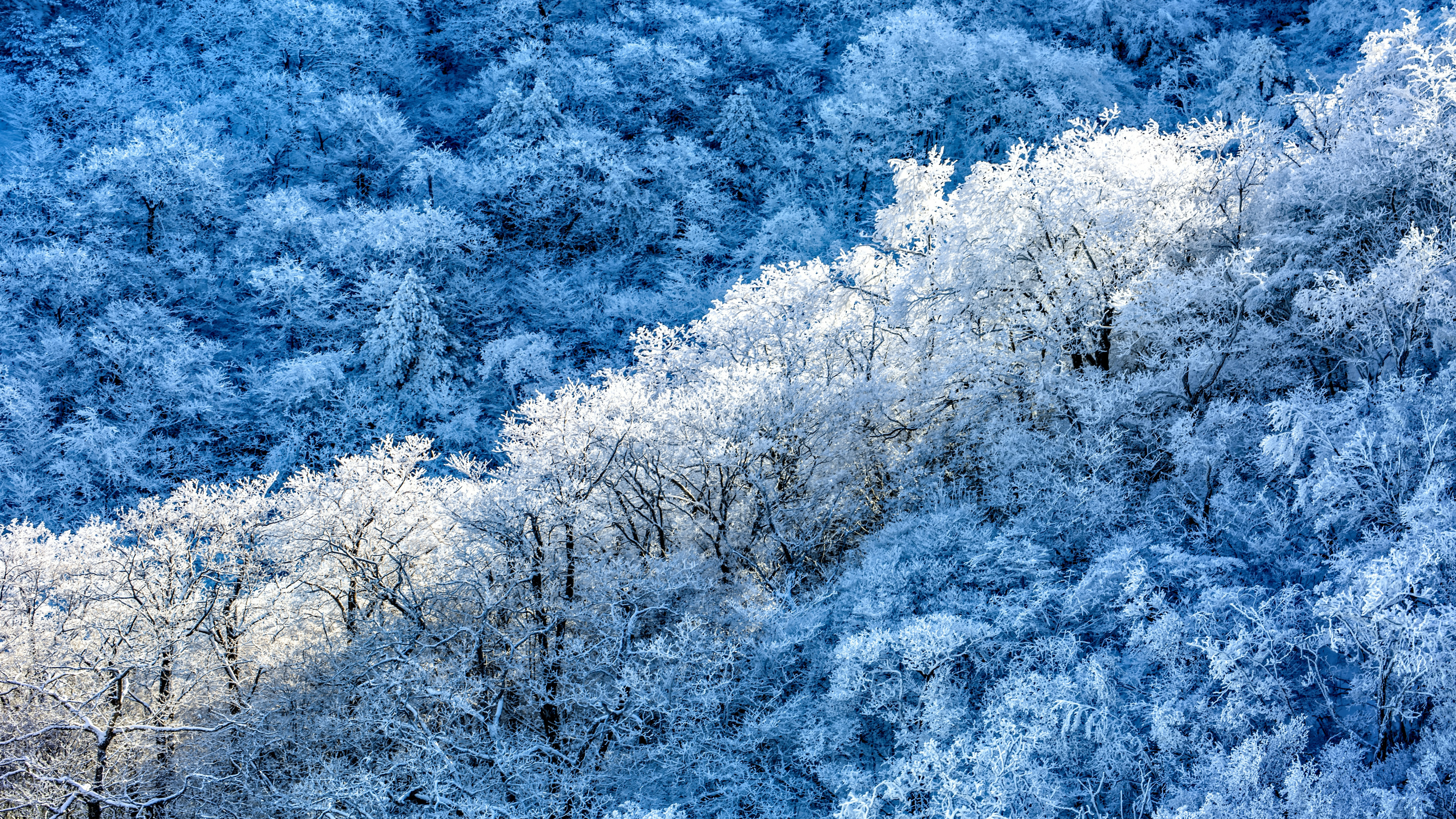 冬季的树林挂满了冰锥，白茫茫的冰封大山风景高清壁纸