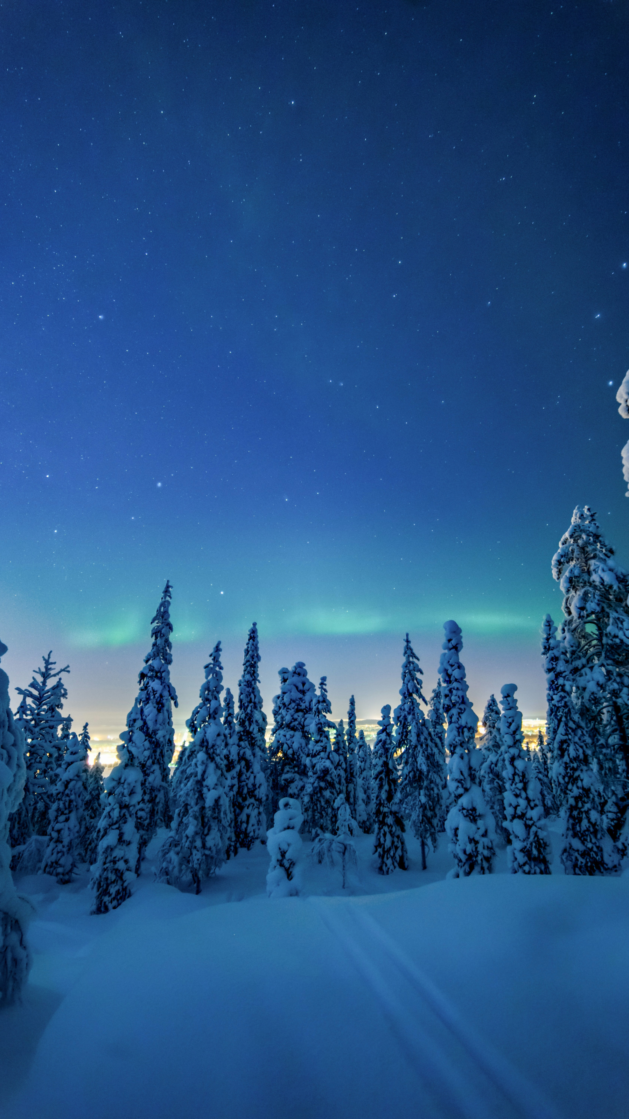 入夜的冬季<span style='color:red;'>极光</span>森林唯美风景手机壁纸