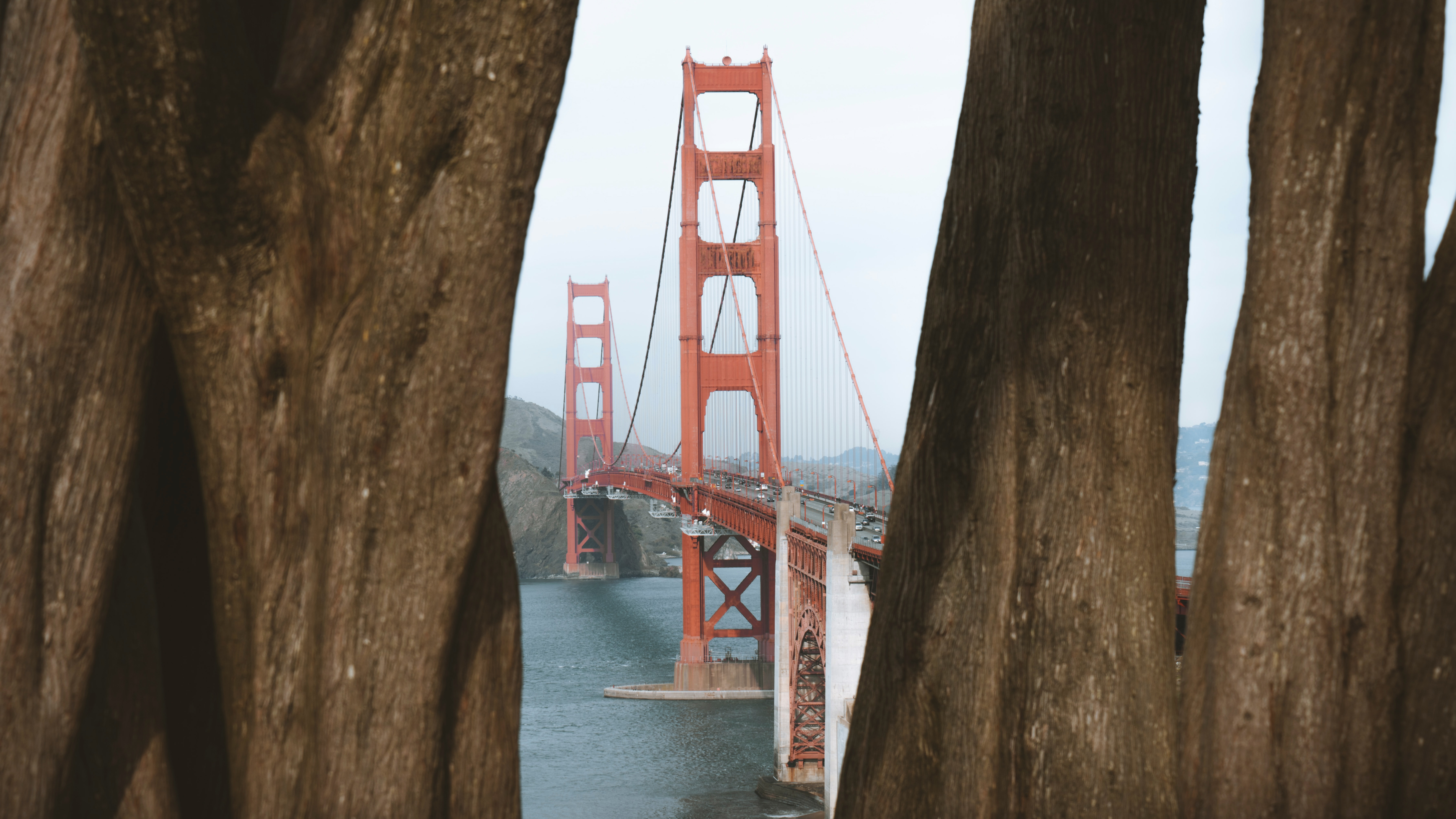 宏伟的吊桥风景，美国金门大桥8K摄影桌面壁纸
