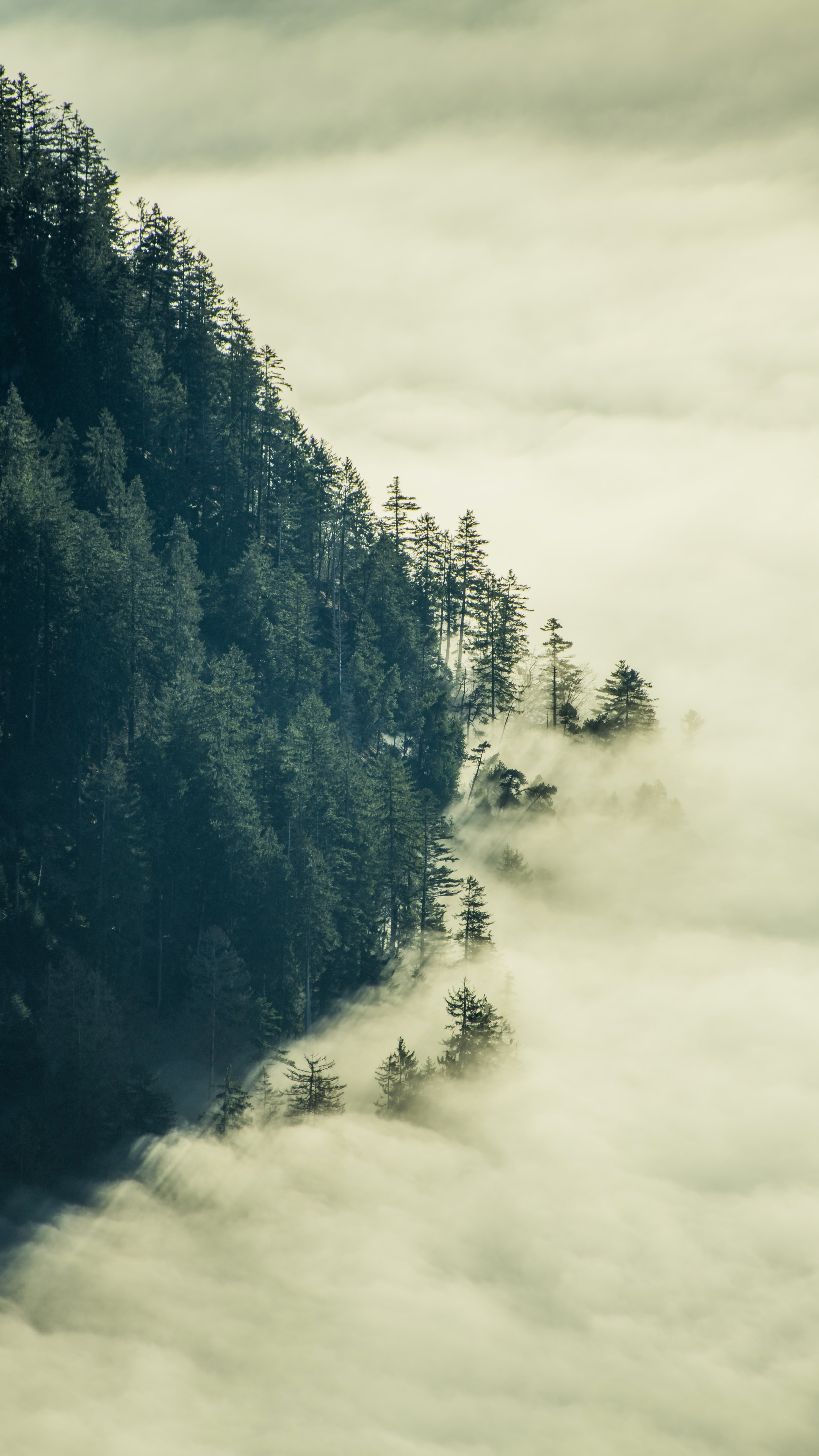 美丽的大自然云海山脉风景高清手机壁纸