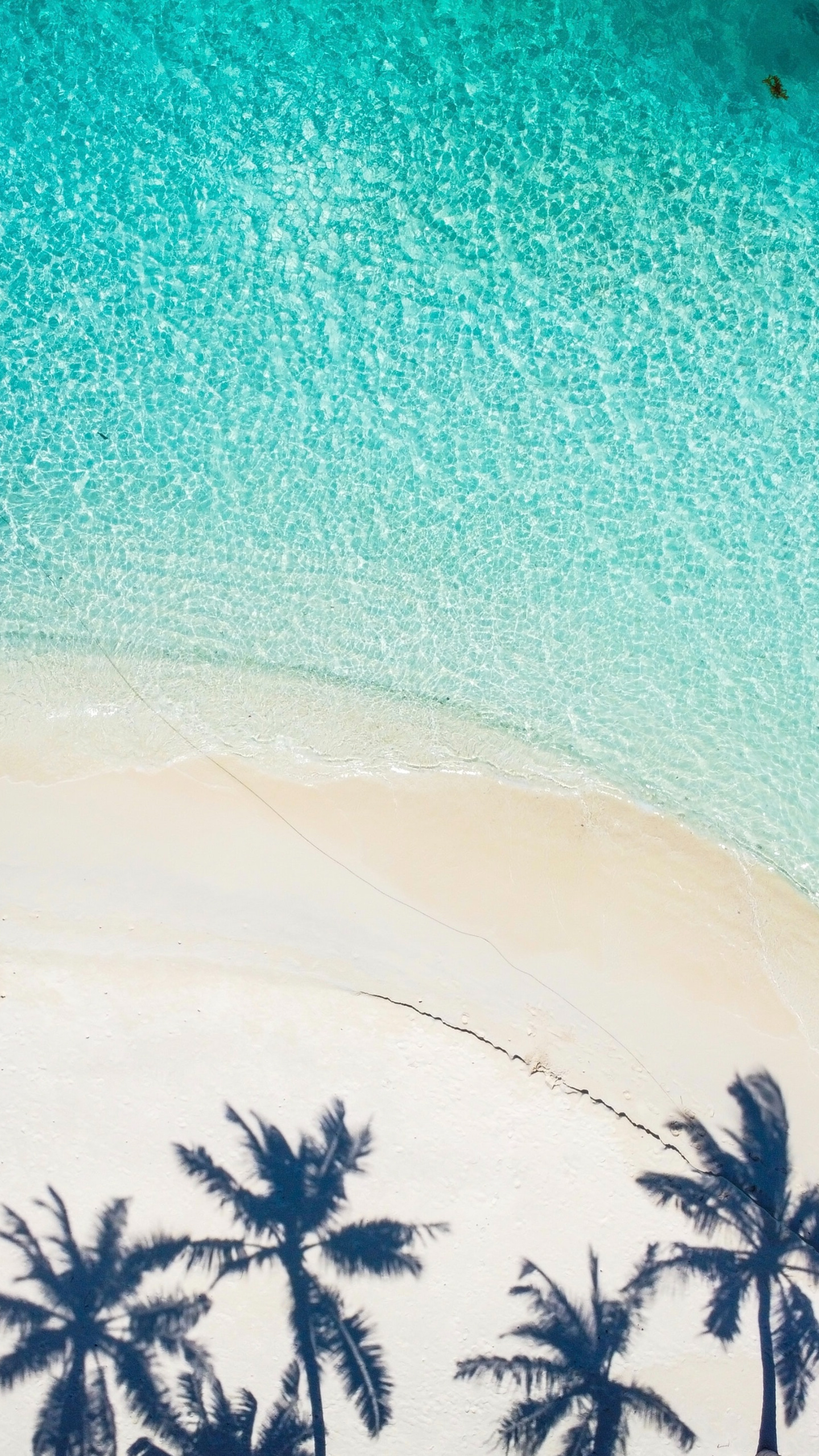 椰树倒影着沙滩，青色干净的海水，超美的沙滩风景手机壁纸