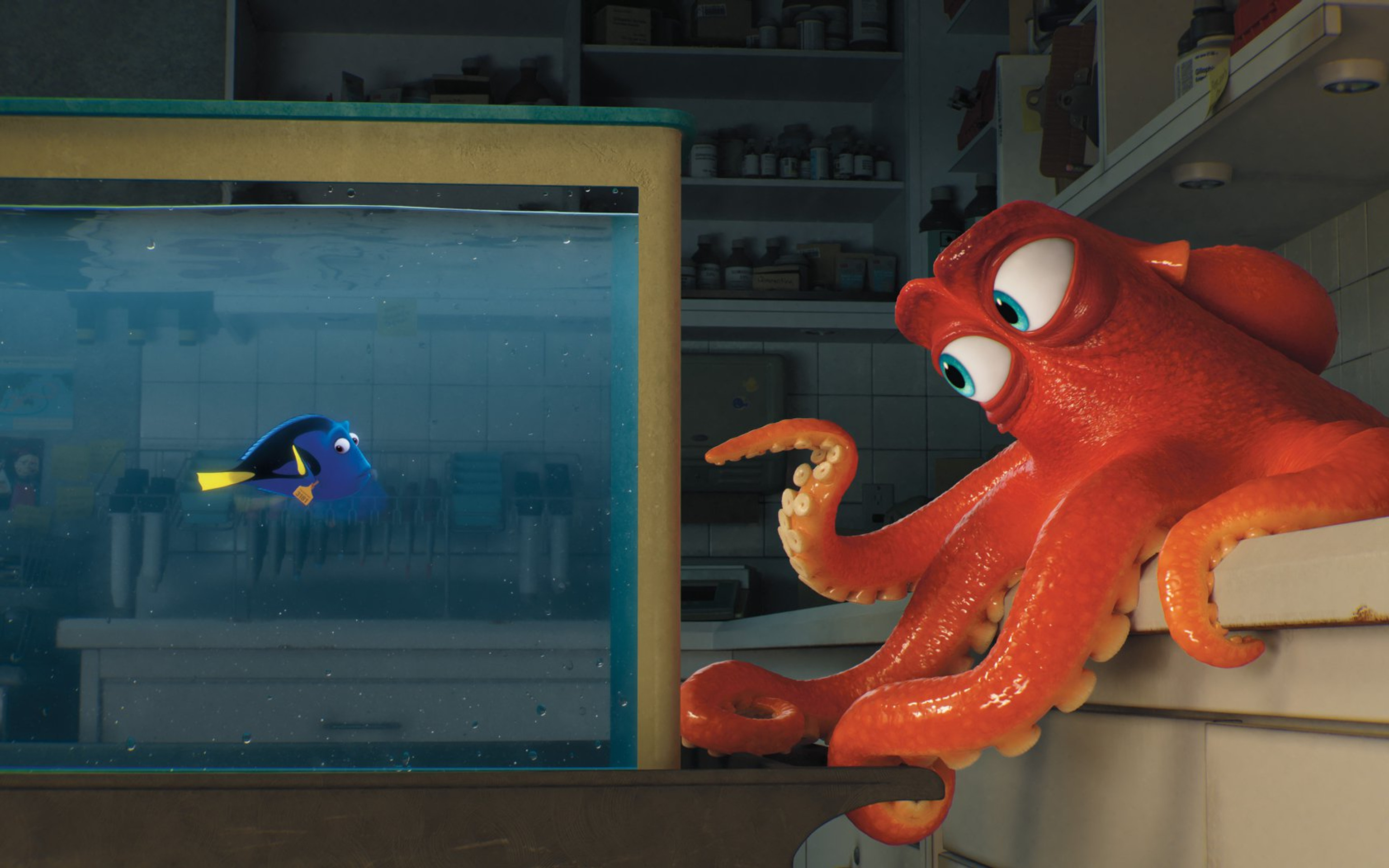 萌萌海洋主题动画电影“海底总动员2”超清壁纸
