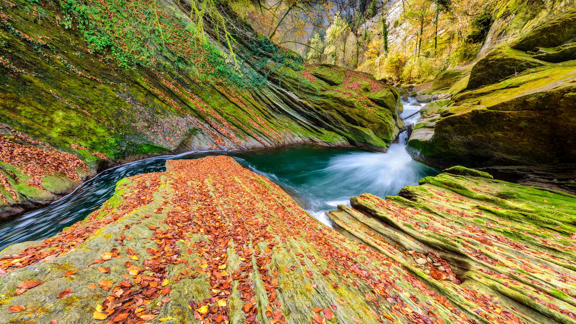 <span style='color:red;'>阿尔卑斯山</span>峡谷布满青苔的大石头，流淌的河水山间壁纸图片