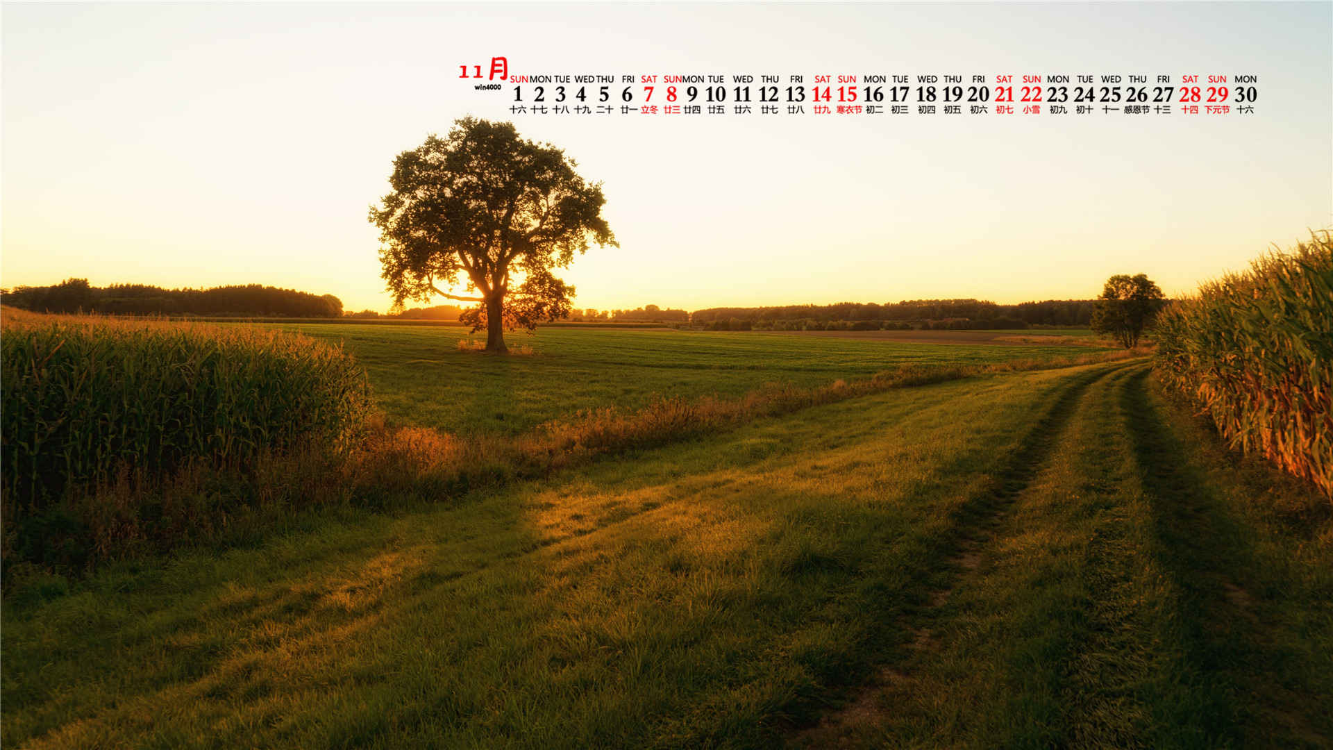 一望无际的田野、相间小路、树木等清新绿色养眼11月日历壁纸图片