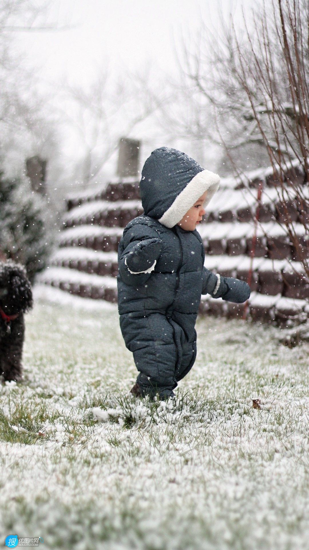 草地上 欧美小孩 连衣裤 狮子狗 孩子手机壁纸图片 下雪的冬天