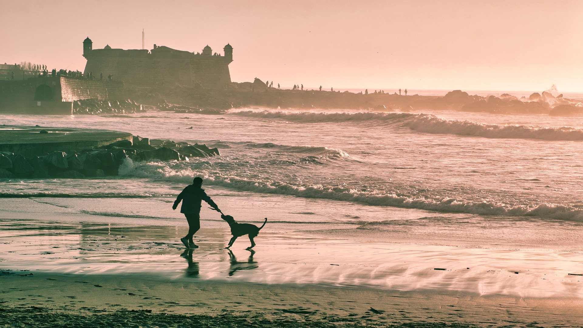 波浪翻滚的海滩 一个人，一条狗，快乐无比高清壁纸图片 城堡前