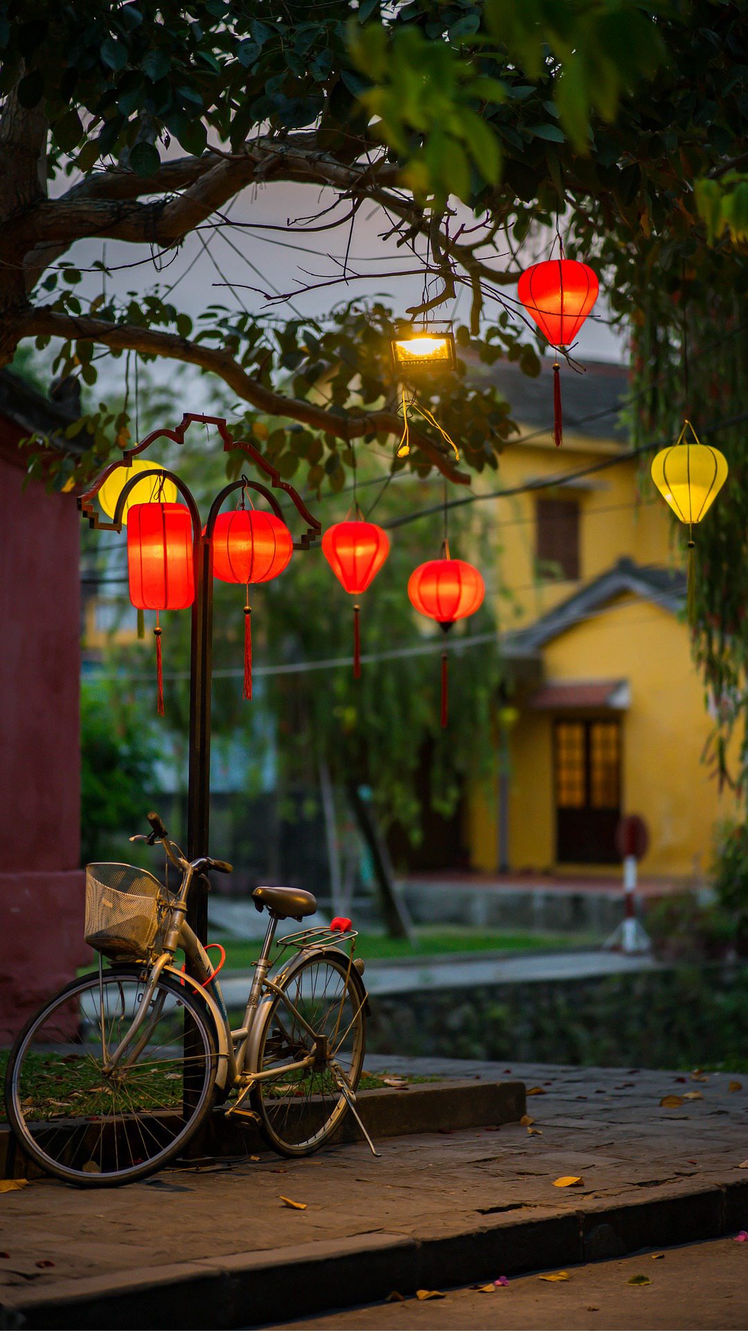 黄昏，挂着灯笼的树下，一辆自行车唯美高清手机壁纸图片