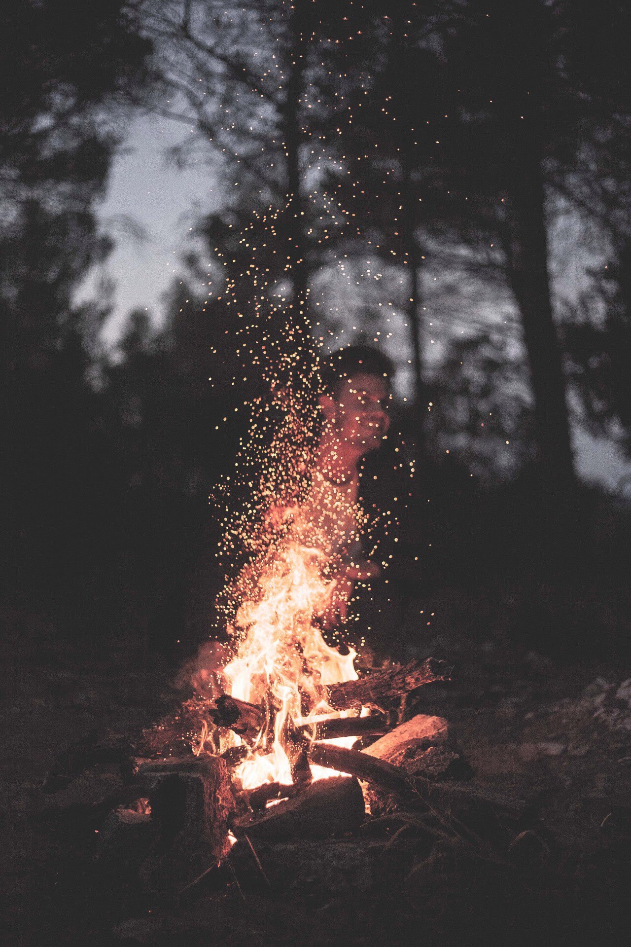 森林里的篝火，野营的唯美摄影手机壁纸
