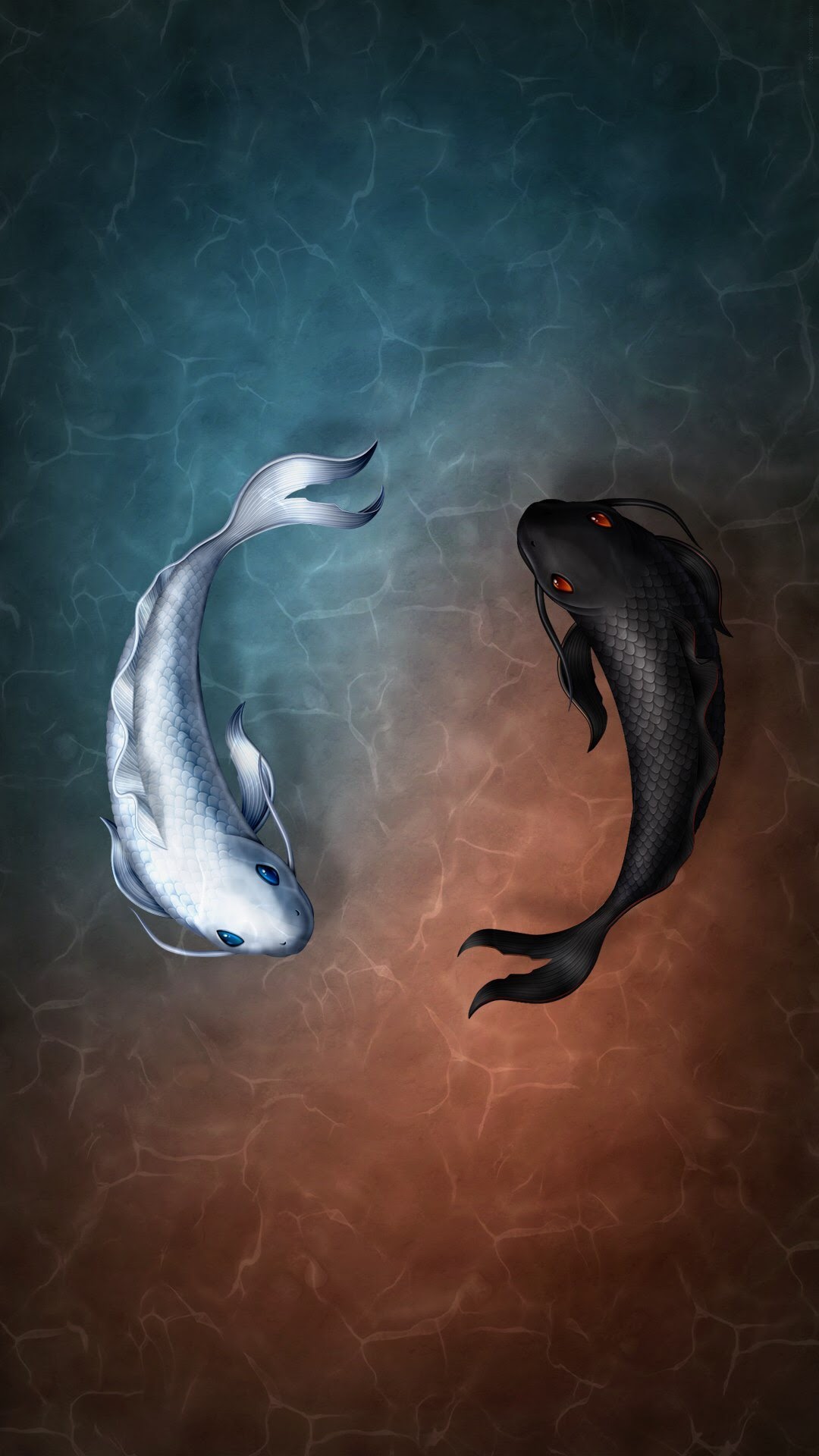 黑白鲤鱼太极图创意插画手机壁纸图片