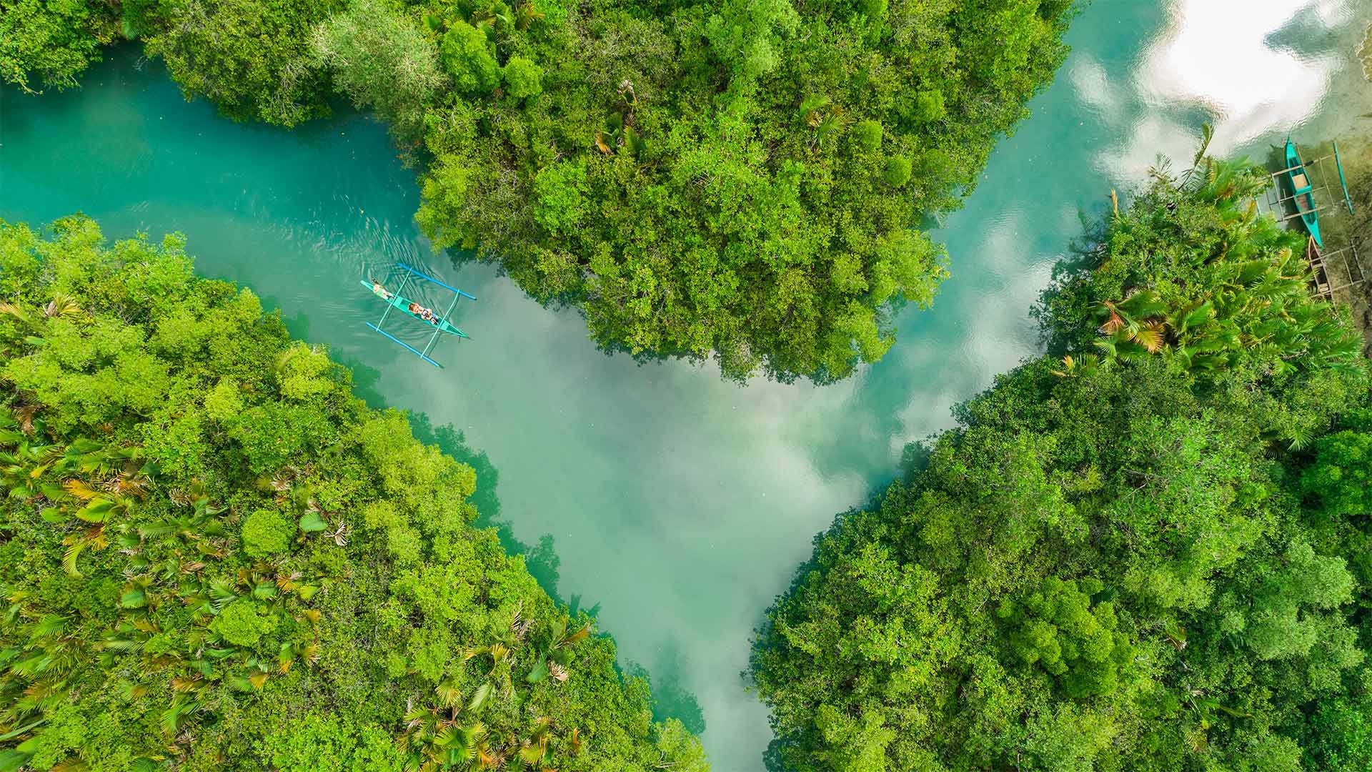 高空俯瞰下的河流，雨林，划艇唯美高清壁纸图片