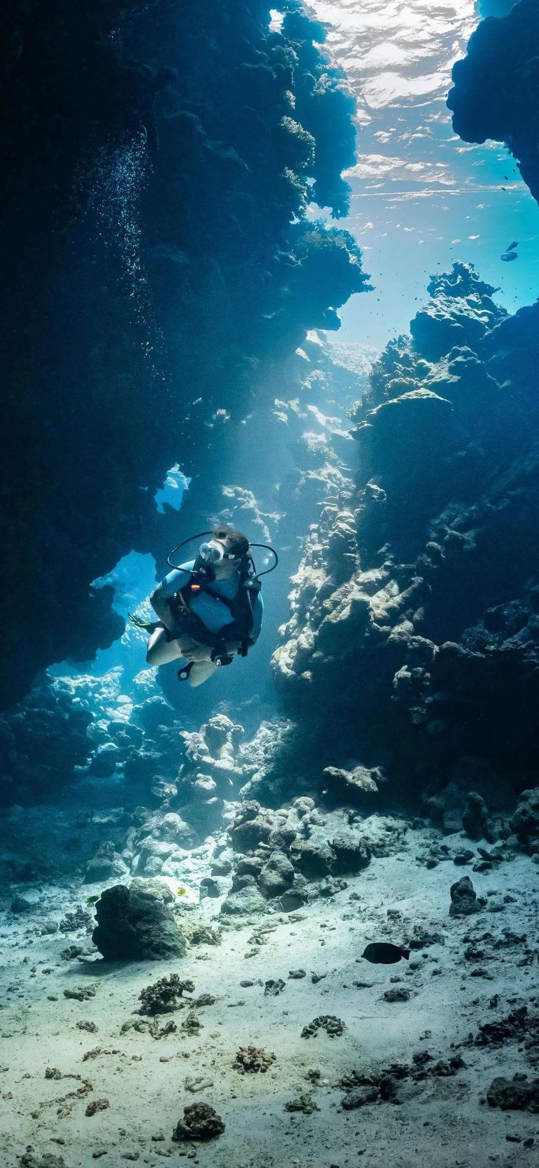 海底，一个潜泳的欧美女性，透过湖面的光，唯美<span style='color:red;'>水下摄影</span>手机壁纸
