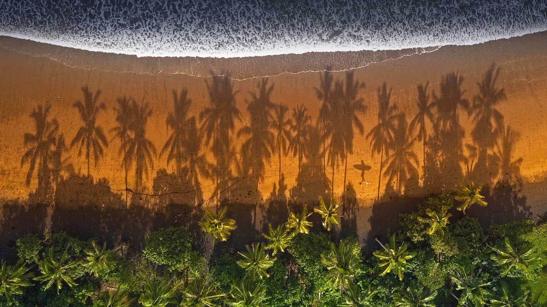 沙滩，海浪，椰树林，棕榈树倒影，印尼巴厘岛海滩风景壁纸图片