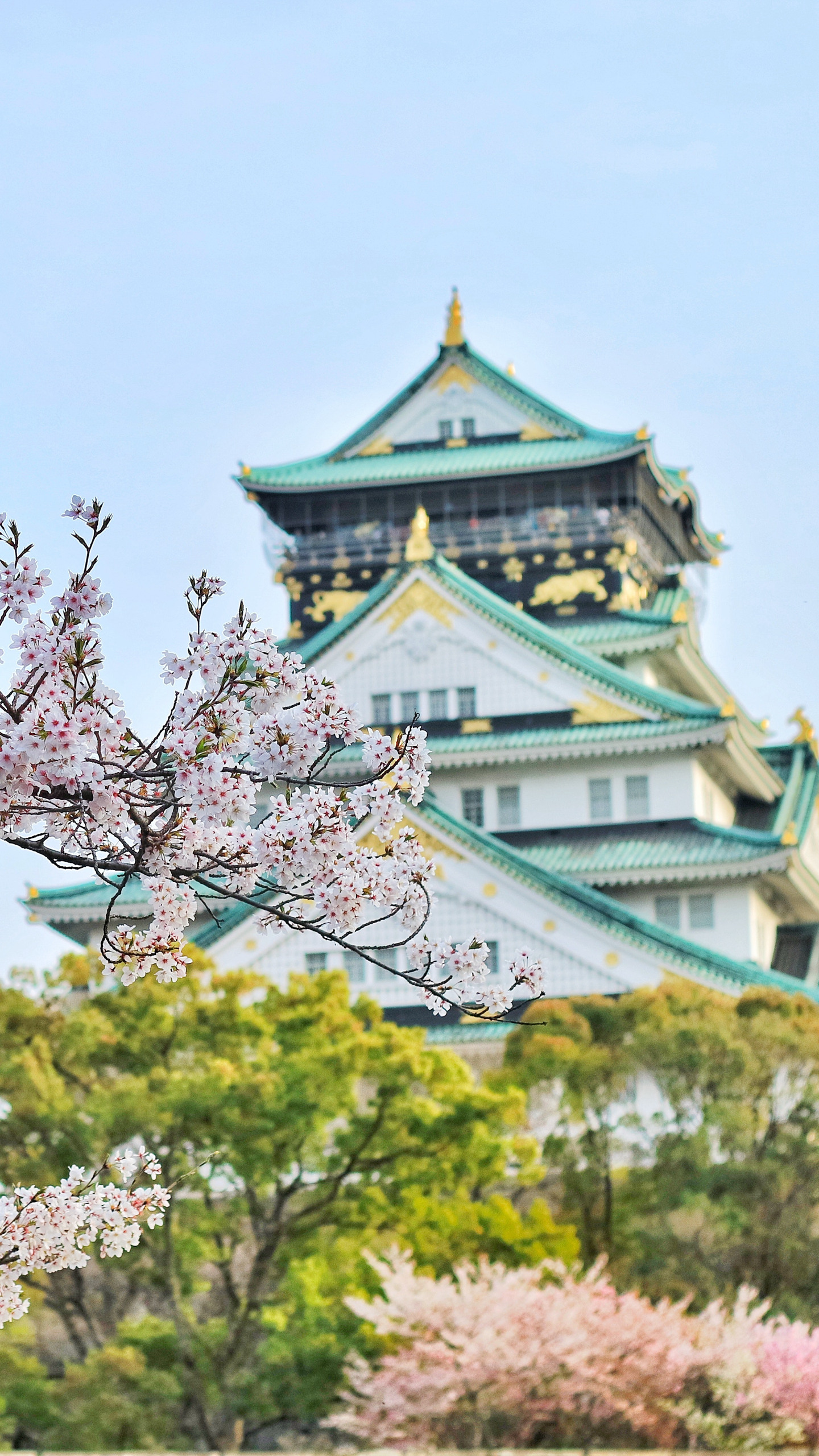 日本传统标志性建筑前的樱花手机壁纸
