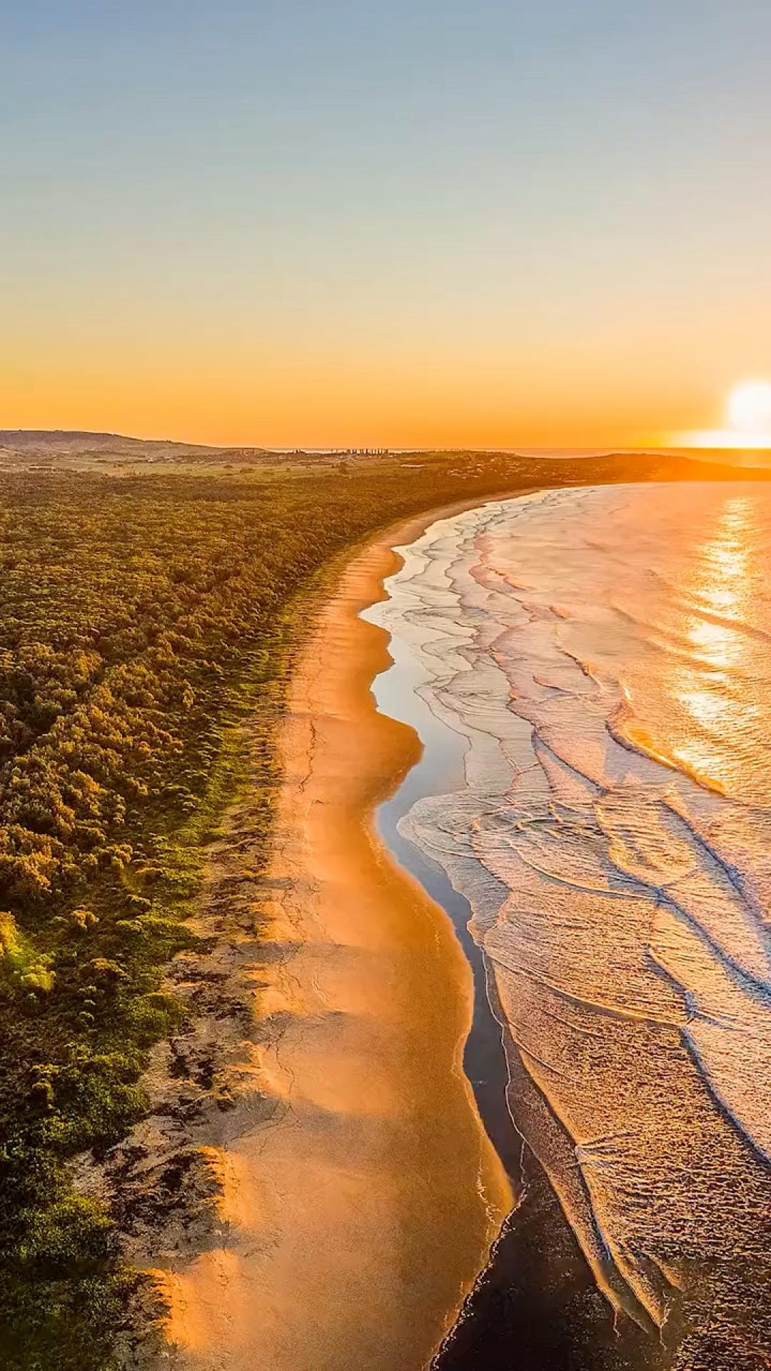 朝阳 <span style='color:red;'>海岸线</span> 沙滩 树林 唯美高清手机壁纸图片 美丽的日出