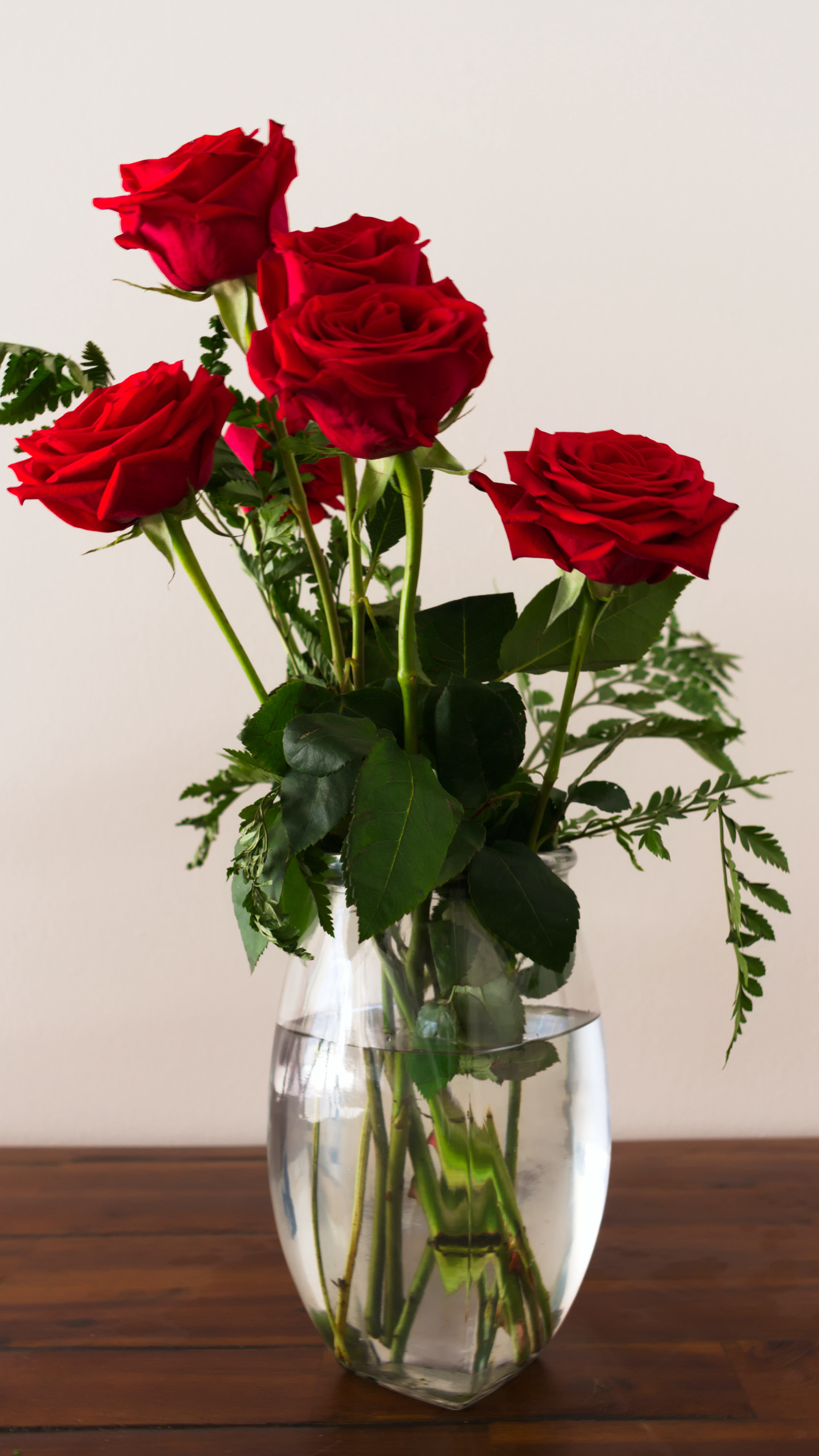 餐桌上的红色玫瑰花情侣520节日手机壁纸