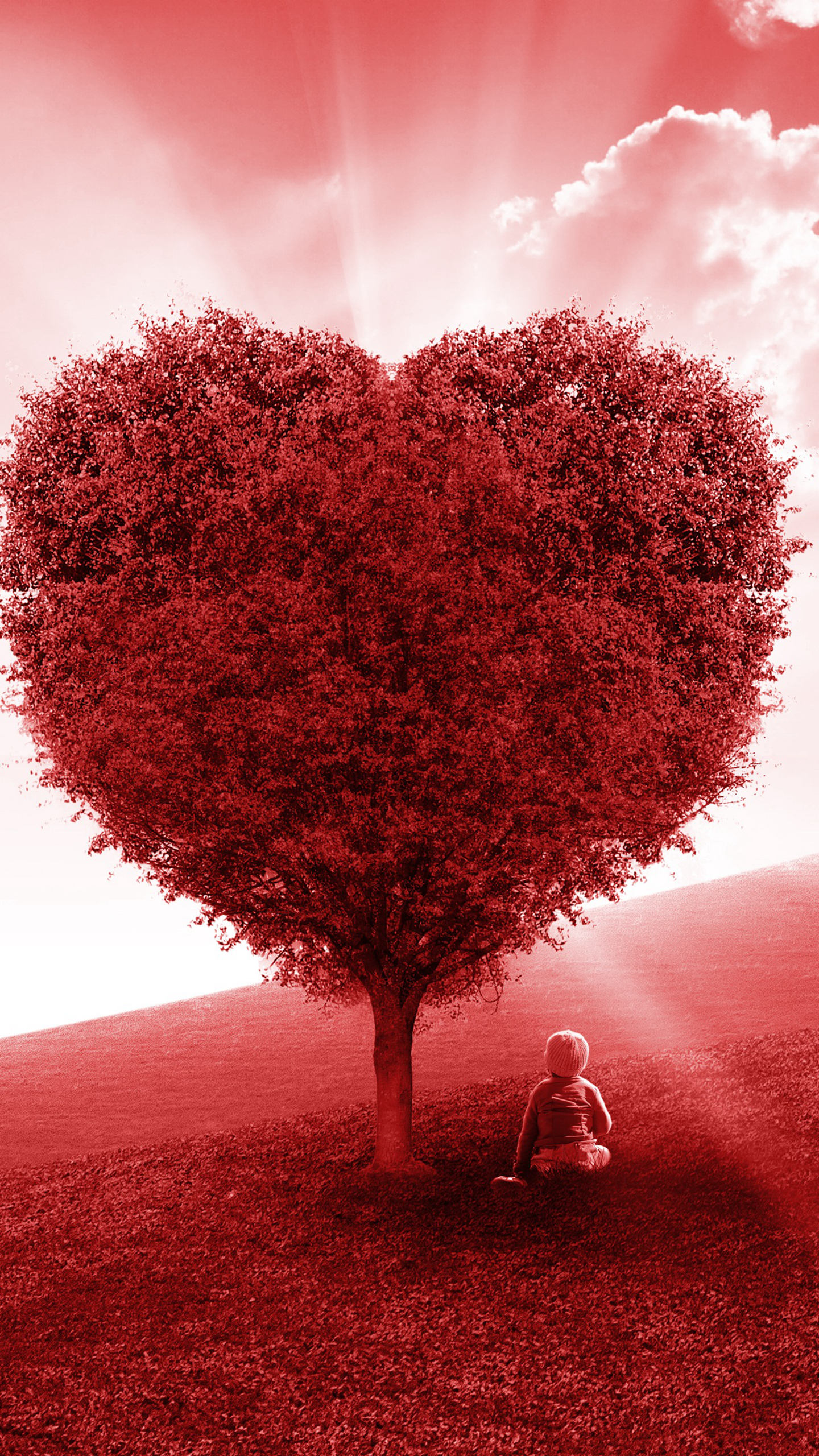 <span style='color:red;'>玫瑰</span>园爱心树，满屏都是爱的爱情手机壁纸