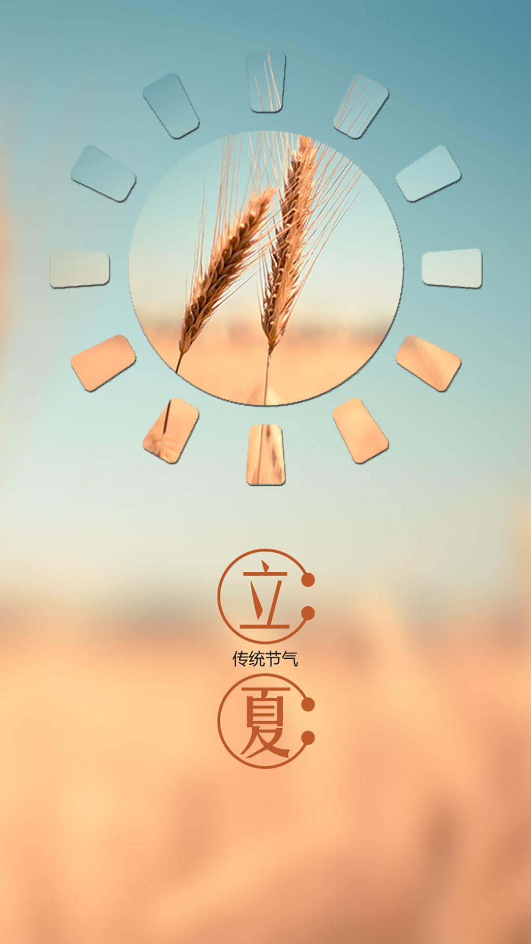 农作物 谷物 植物 立夏手机壁纸图片 小麦