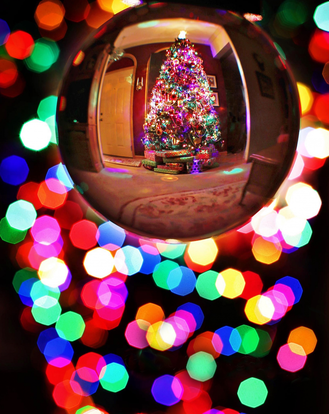 背景虚化水晶玻璃球中装饰精美的<span style='color:red;'>圣诞树</span>高清图片下载