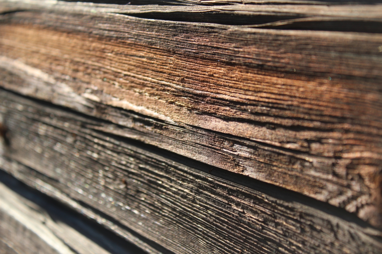 木头枯木切割面干燥木纹纹理高清图片下载
