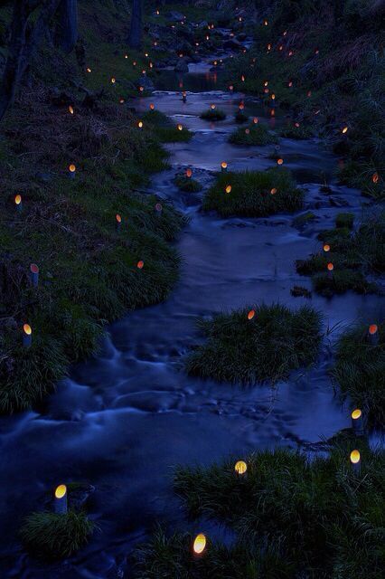 竹灯，夜色下的日本竹灯节唯美意境图片