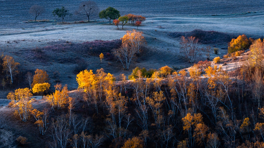 广阔的原野，深秋的白桦林唯美山间景色美图