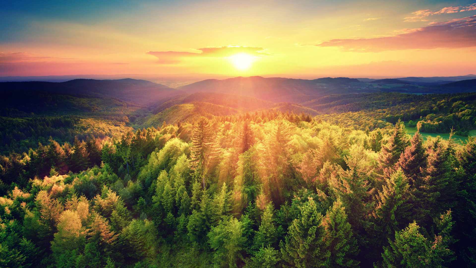 逆光森林图片，阳光照耀下的<span style='color:red;'>森系</span>大自然唯美祥和景色图片