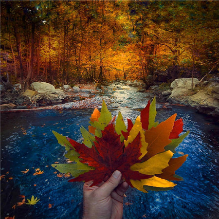 秋意很浓的图片，代表秋天来了的唯美意境<span style='color:red;'>森系</span>景色图片