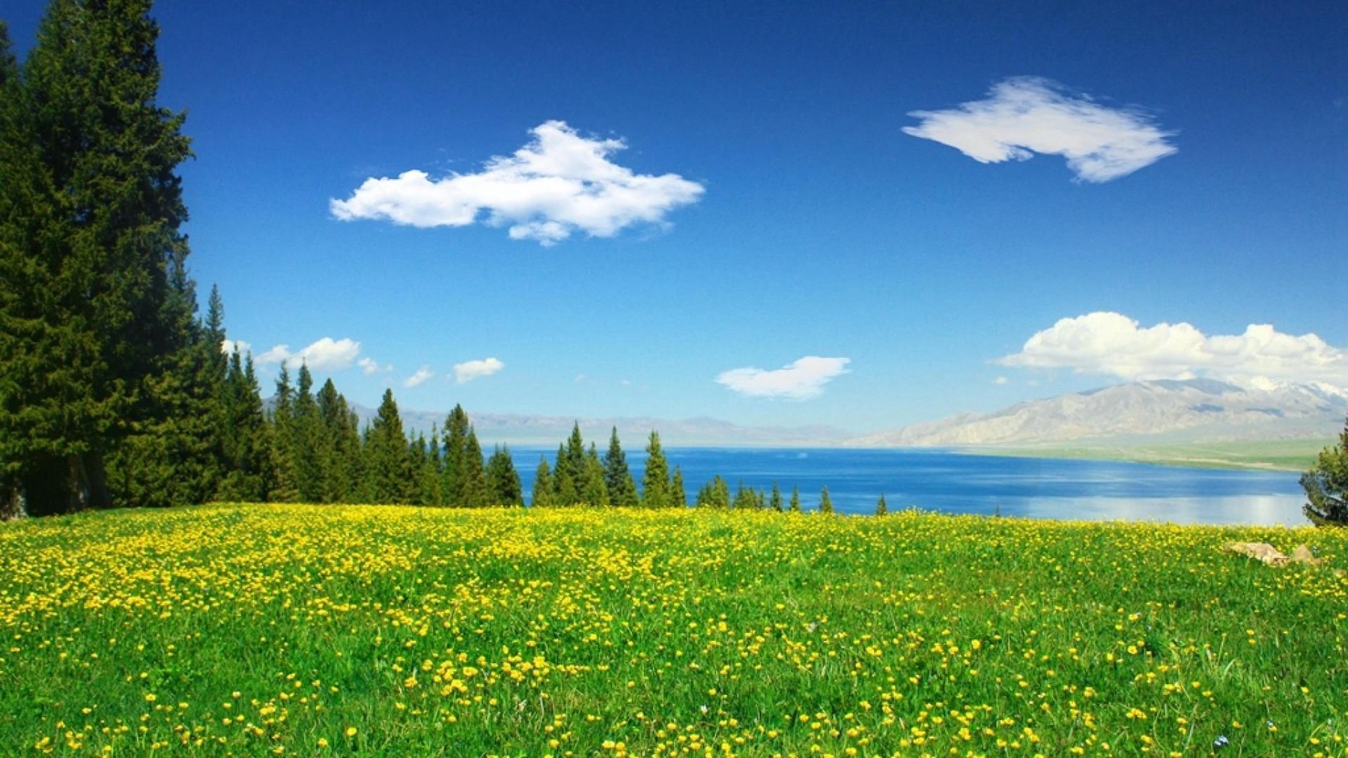 赛里木湖，大西洋最后一滴眼泪赛里木湖唯美景色风光图片