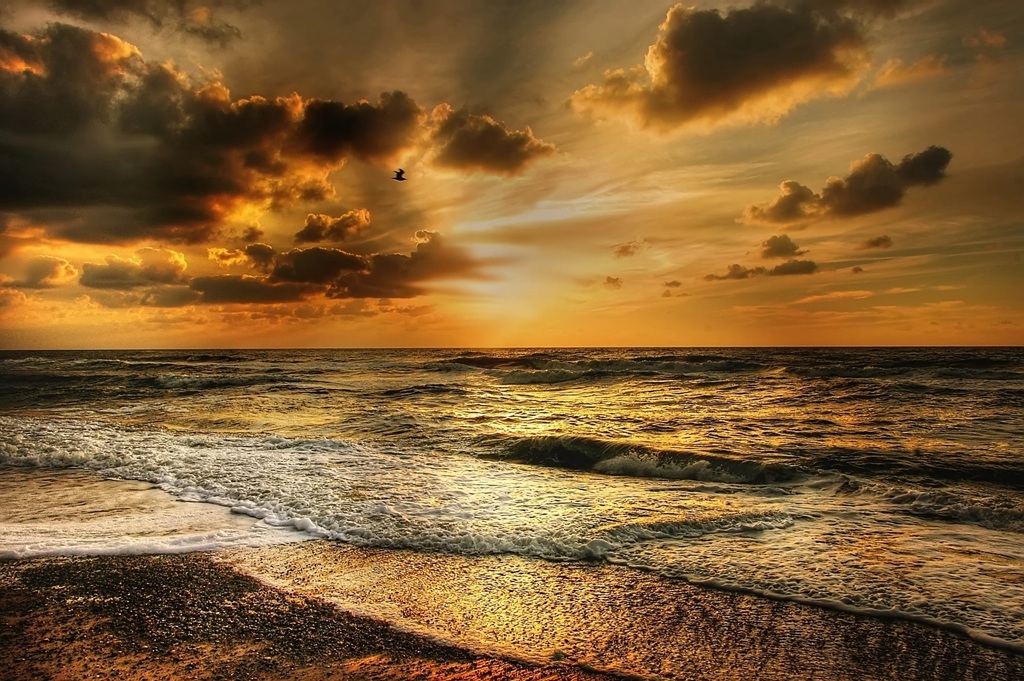 海天一色，晨曦或日落，一片金黄的颜色，唯美大海，海边，天空意境图片